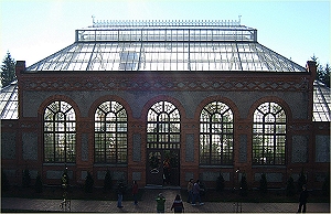 The Biltmore conservatory raises most of the plants used in the Biltmore house. Click for bigger photo