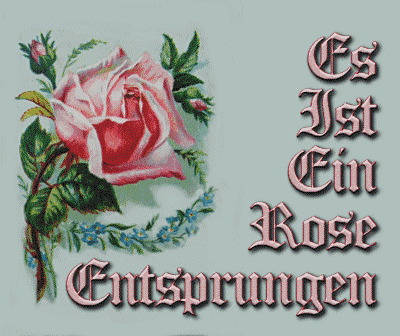A century ago, it was very common to show spring flowers on Christmas cards. This rose image is from a Victorian-era Christmas card.