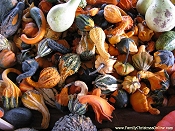 Click to see the desktop-sized photo.