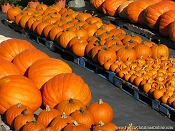 Click to see the desktop-sized photo.