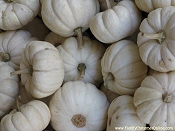 Click to see the desktop-sized photo.