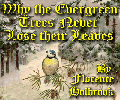 Why the Evergreen Trees Never Lose their Leaves, by Florence Holbrook